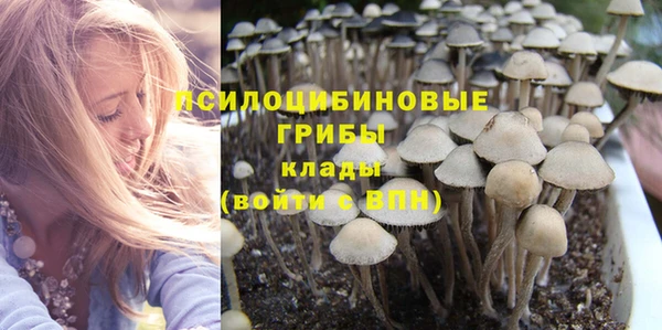 соль курить ск Арсеньев