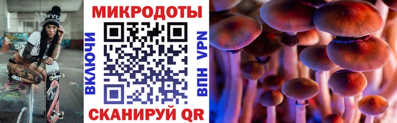 сколько стоит  Когалым  Галлюциногенные грибы Magic Shrooms 